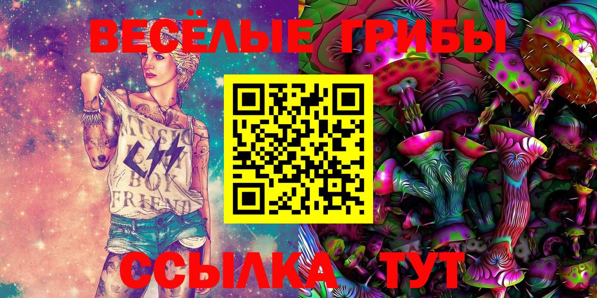Псилоцибиновые грибы Psilocybine cubensis  где купить   Барнаул  Вход с VPN 